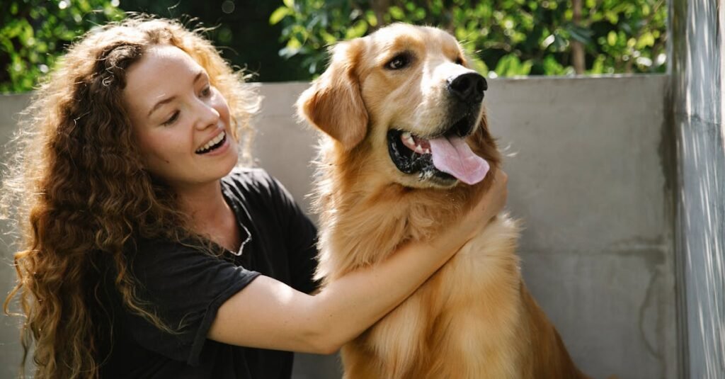 positive adult lady in casual clothes petting fluffy golden retriever dog near stone fence and trees